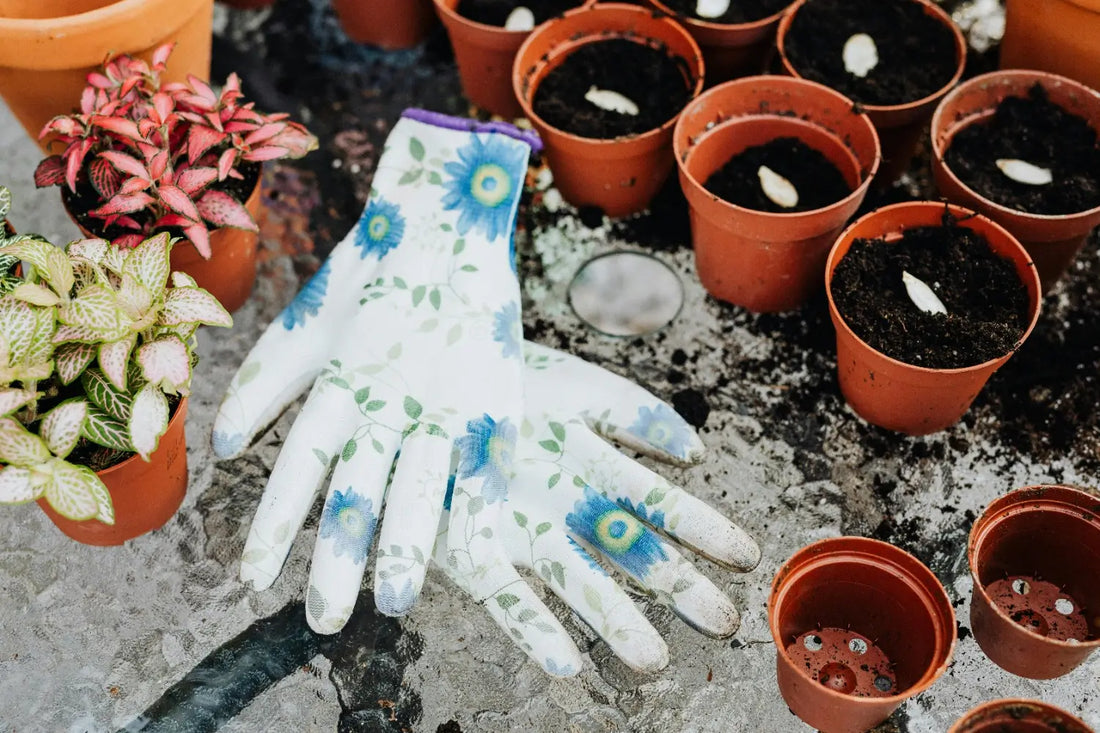 Welke potgrond past bij jouw planten? Alles over universele potgrond