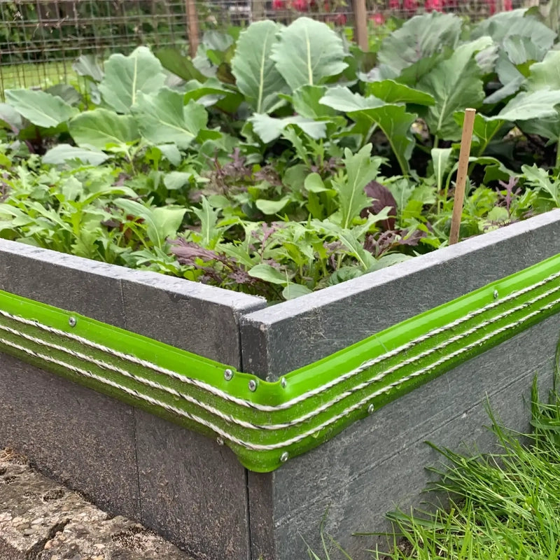 Slakkenband Montagedoos