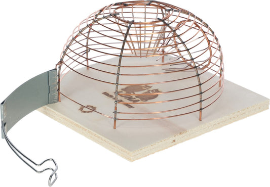 Basket muizenval Luna