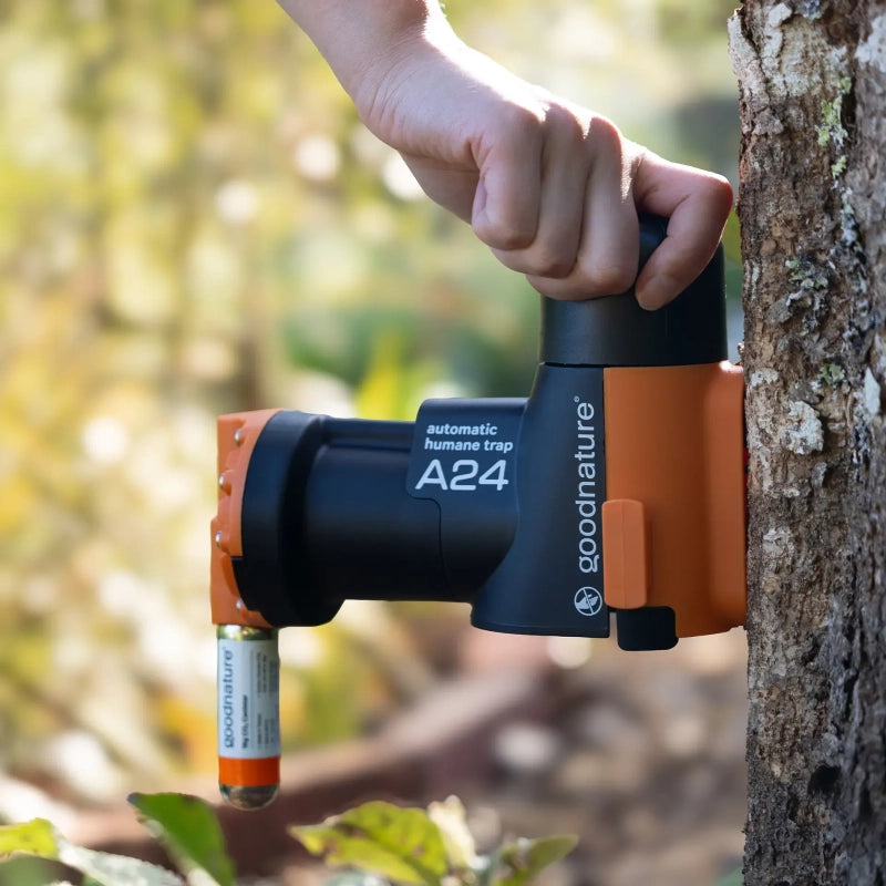 Goodnature Basis Ratten- en Muizenval Kit