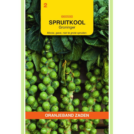 OBZ Spruitkool Groninger