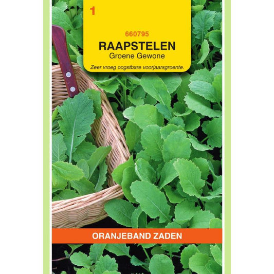 OBZ Raapstelen Groene Gewone