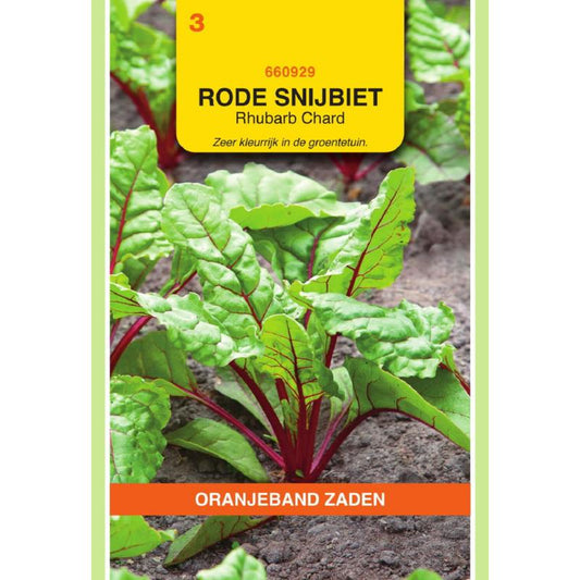 OBZ Rode Snijbiet Rhubarb Chard