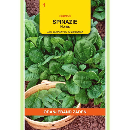 OBZ Spinazie Nores