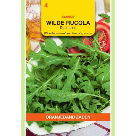 OBZ Wilde Rucola Diplotaxis