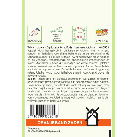 OBZ Wilde Rucola Diplotaxis