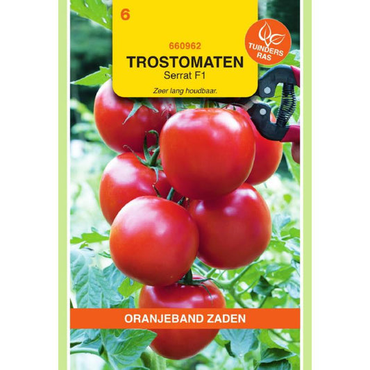 OBZ Trostomaten Serrat F1