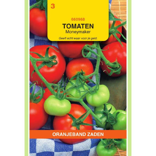 OBZ Tomaten Moneymaker
