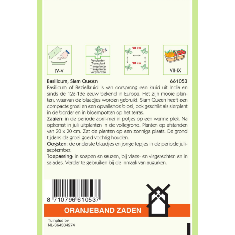 OBZ Basilicum Siam Queen