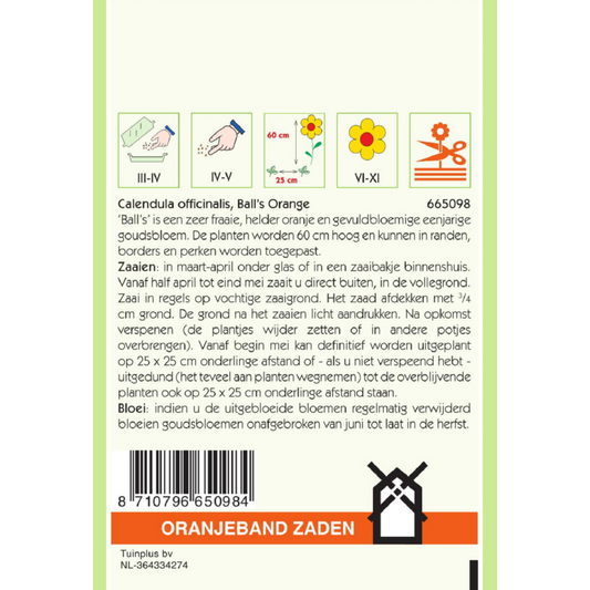 OBZ Calendula, Goudsbloem Ball's Orange
