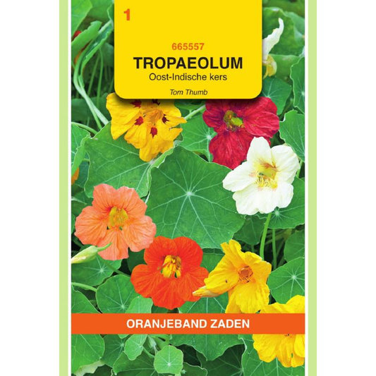 OBZ Tropaeolum, Oost-Indische kers Tom Thumb enkelbl.gemengd