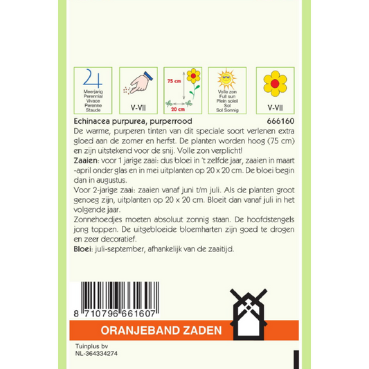 OBZ Rudbeckia, Zonnehoed Echinacea