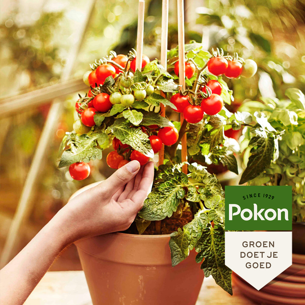 Pokon Bio Moestuingrond