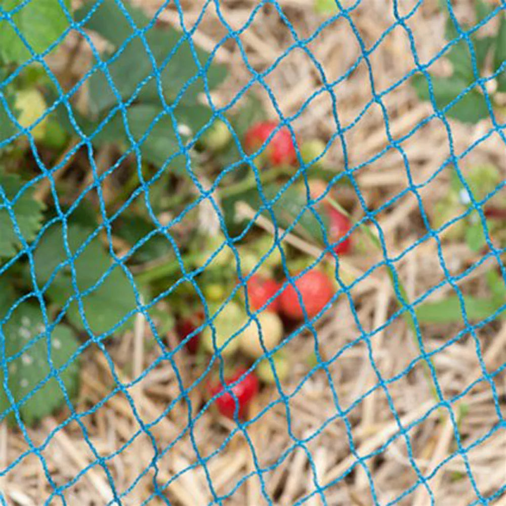 Vogelnet Blauw 25x25 mm 4 x 100 m