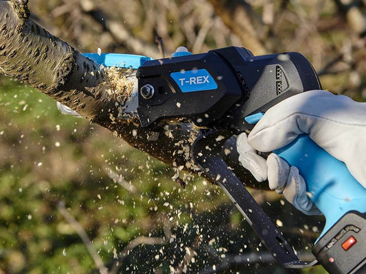 Campagnola snoeizaag T-Rex, accu 21.6 Volt