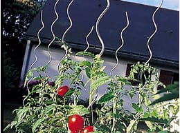ACD Tomatenspiralen 170 cm