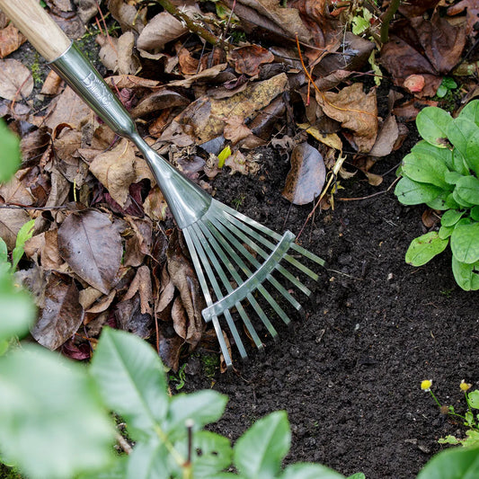 RHS Bladhark 9 tanden