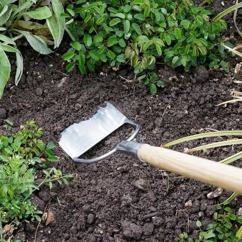 RHS Schoffel Dutch hoe