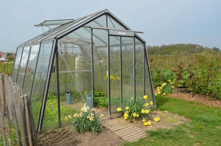 ACD Prestige Tuinkas S104H 9,12 m2