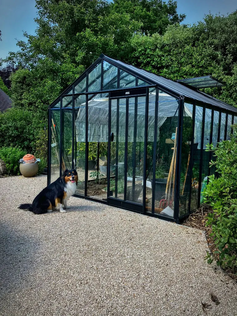 ACD Prestige Victorienne V306 Tuinkamer 13.62 m2