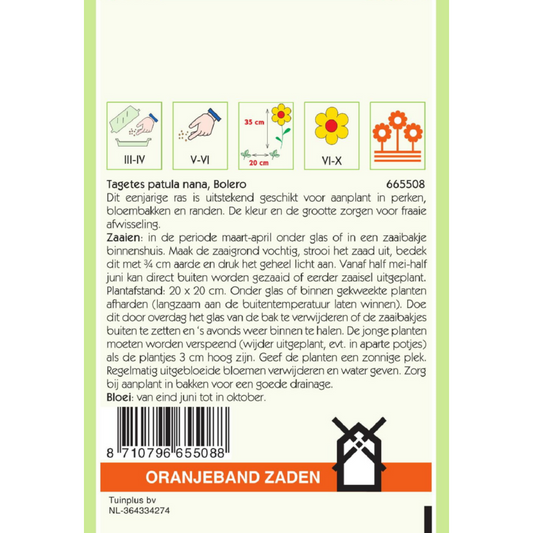 OBZ Tagetes, Afrikaan Bolero (vh Queen Sophia)