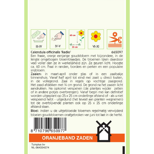 OBZ Calendula, Goudsbloem Radio