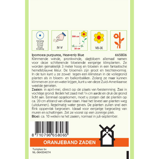 OBZ Ipomoea, Klimmende Winde Heavenly Blue