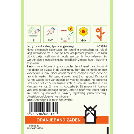 OBZ Lathyrus, Reuk- of siererwt Spencer gemengd
