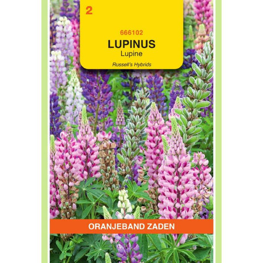 OBZ Lupinus, Lupine Russell's gemengd