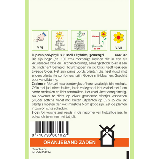 OBZ Lupinus, Lupine Russell's gemengd