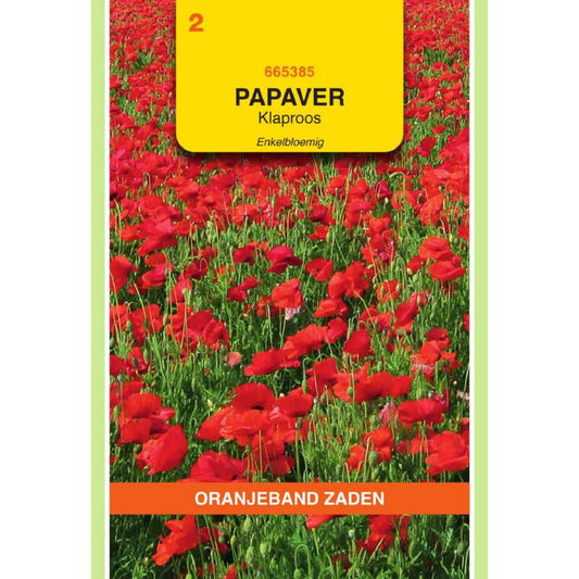 OBZ Papaver, Klaproos enkelbloemig (gewone)