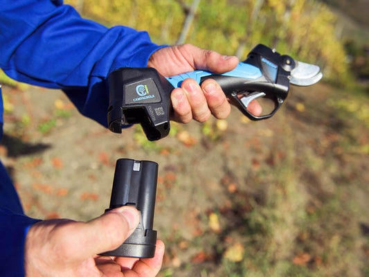 Campagnola snoeischaar SPEEDY, accu 14.4 Volt