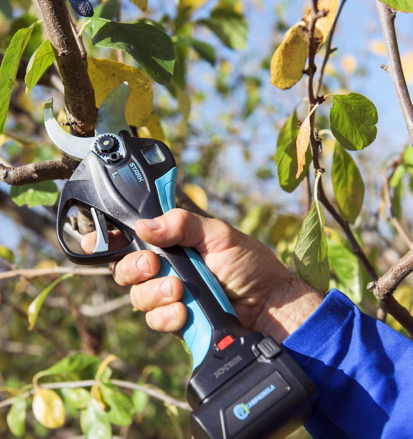 Campagnola snoeischaar STARK L, accu 21.4 Volt