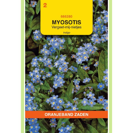 OBZ Myosotis, Vergeet-mij-niet Indigo, blauw