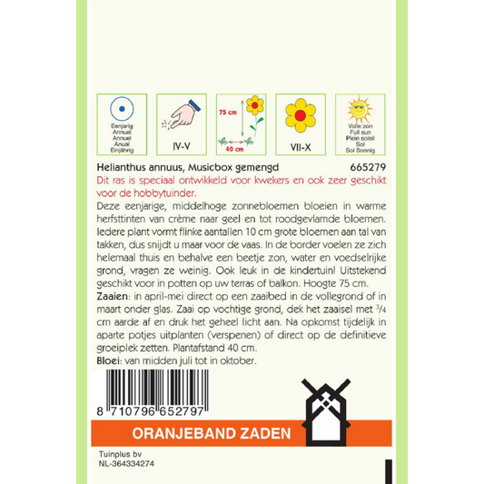 OBZ Helianthus, Zonnebloem Musicbox gemengd