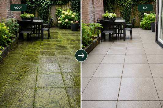 🏡 Groene Aanslag op je Terras Verwijderen: De Complete Gids voor een Schoon en Veilig Terras