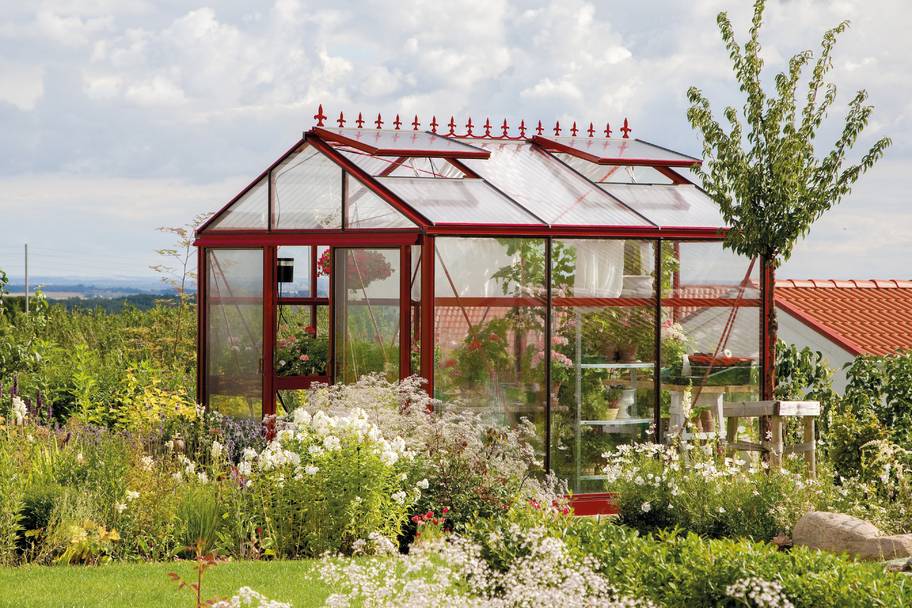 Euro-serre Tropic maxi 3.10 m breed