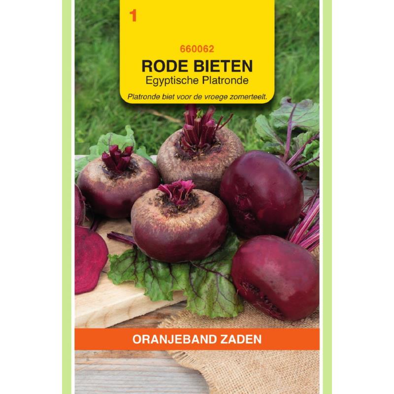 OBZ Rode Bieten Egyptische Platronde