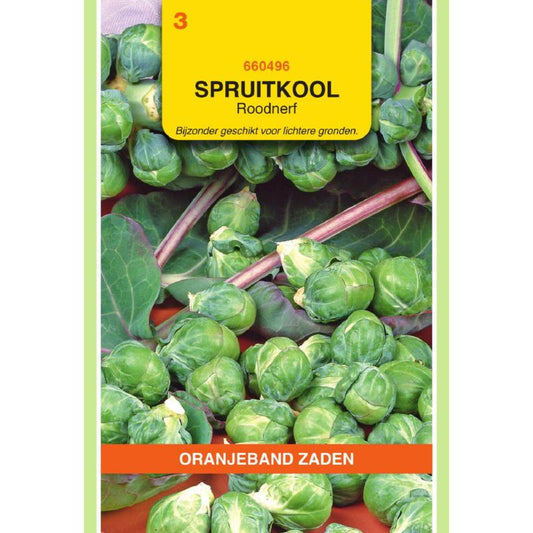 OBZ Spruitkool Roodnerf