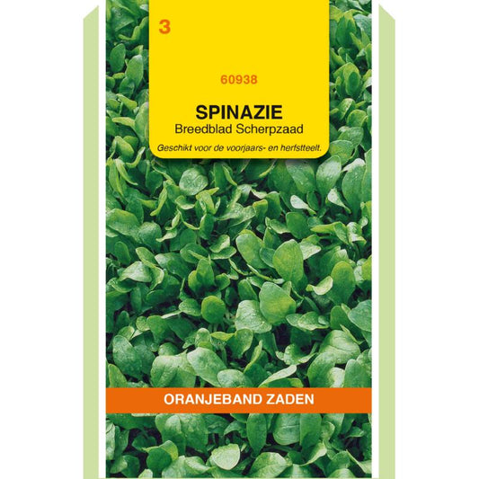 OBZ Spinazie Breedblad Scherpzaad