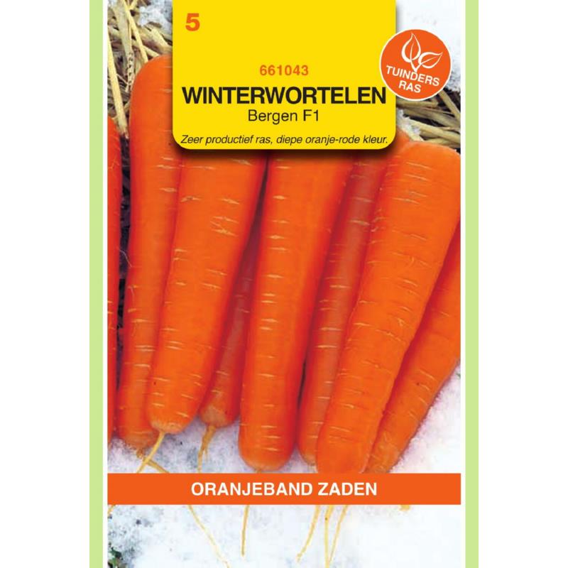 OBZ Winterwortelen Elegance F1 (wordt Bergen F1)