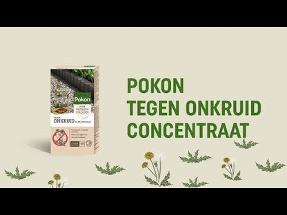 Pokon Tegen Onkruid Concentraat